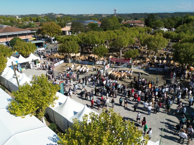 Villages en fêtes journées du boulonnais
