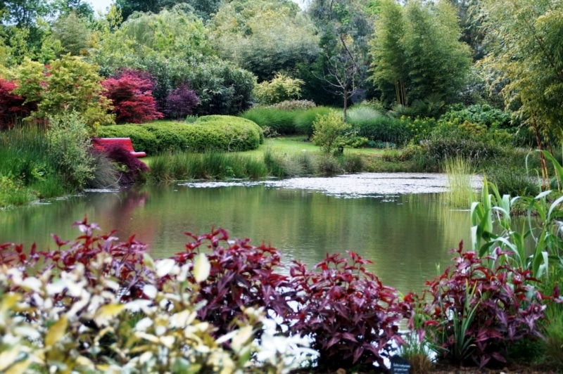 Jardines de Hillen
