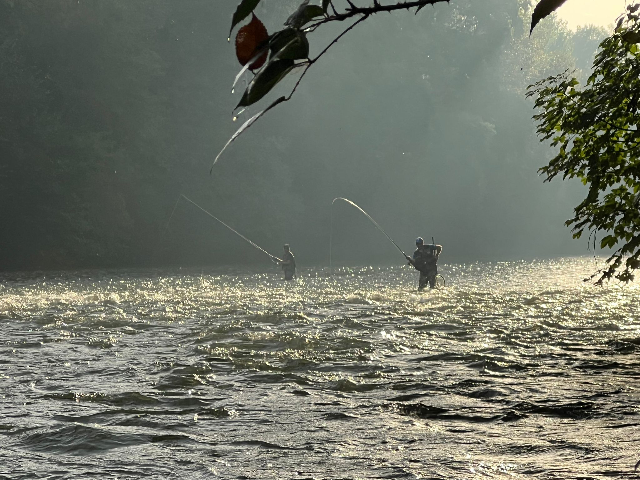 Fishing trip