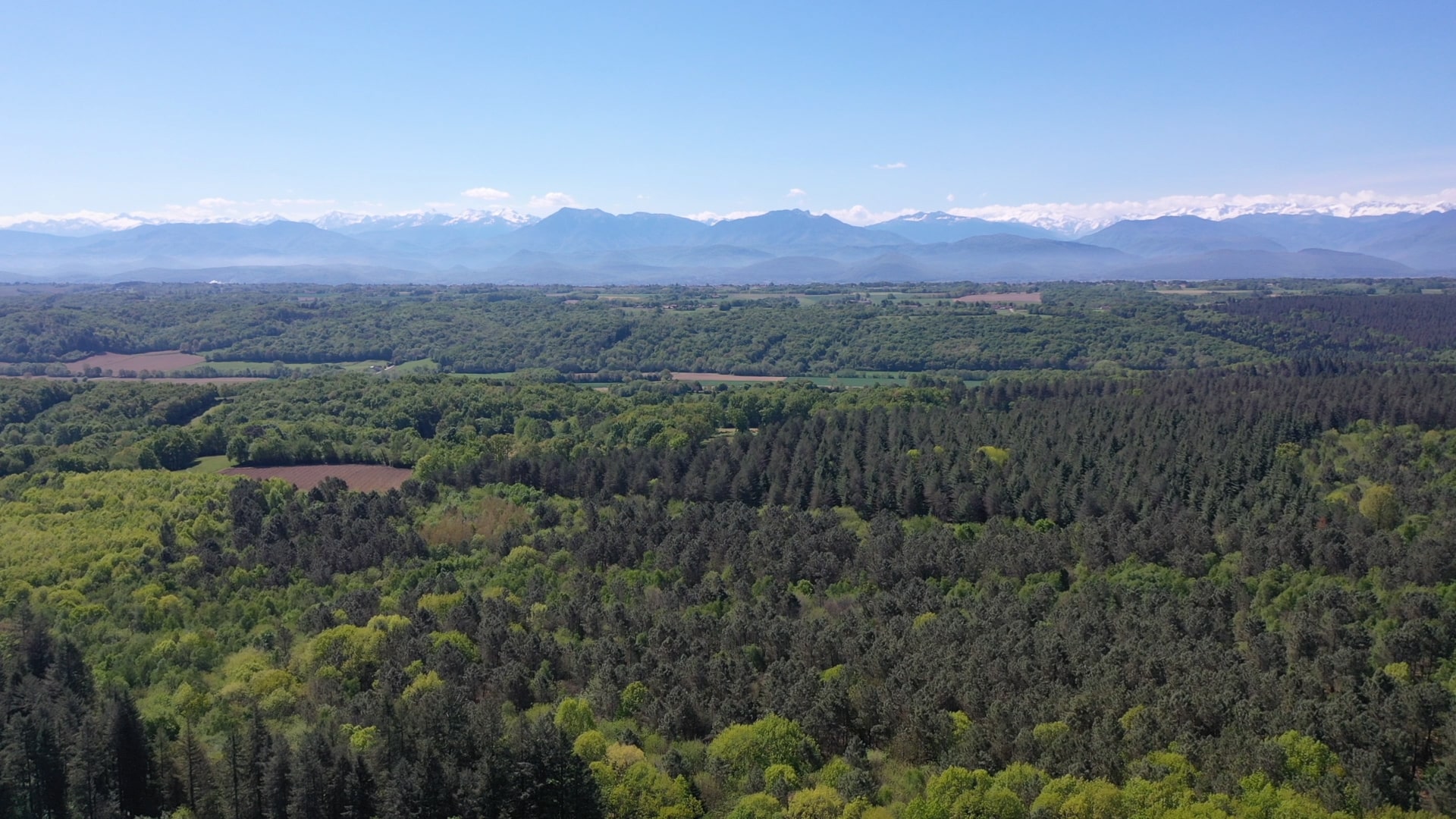 La Préhistoire