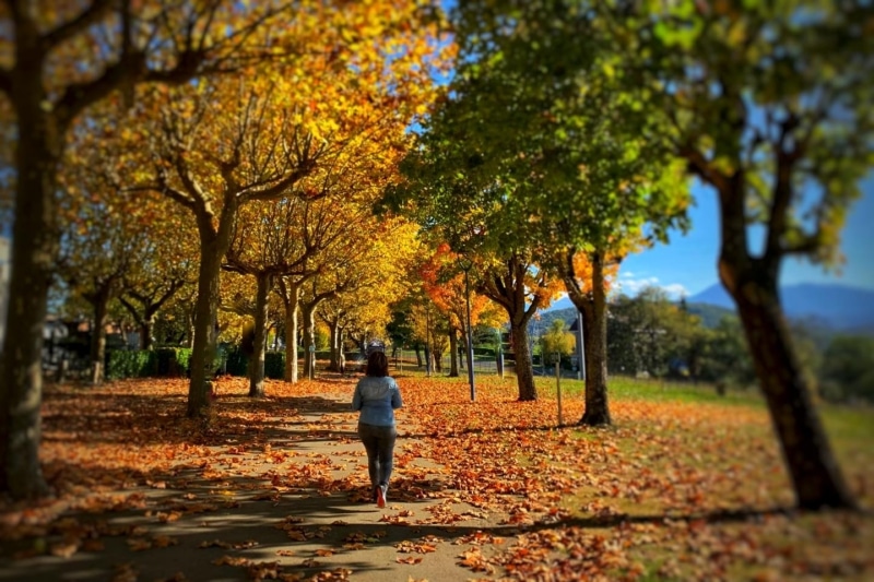 running d'automne