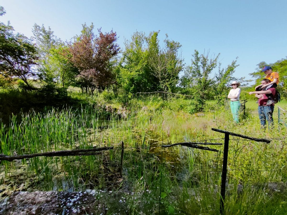 an open-air museum.
pond 