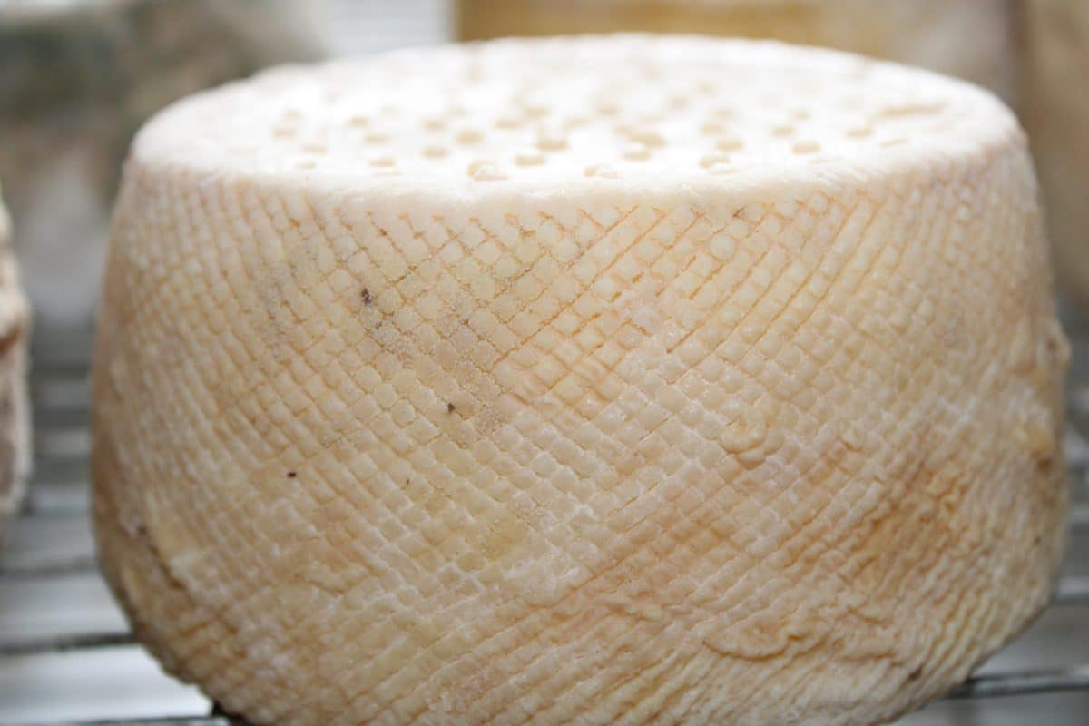 Queso «Tomme» de leche cruda – Granja de la Monge en L’isle en Dodon, Comminges-Pirineos ©Manon BERGES