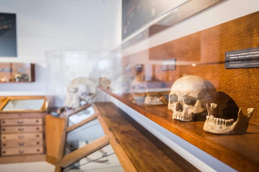 Vue collection Musée de l'Aurignacien