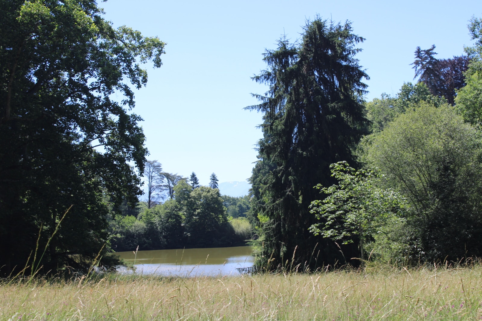 Lac du domaine de Valmirande à Montréjeau